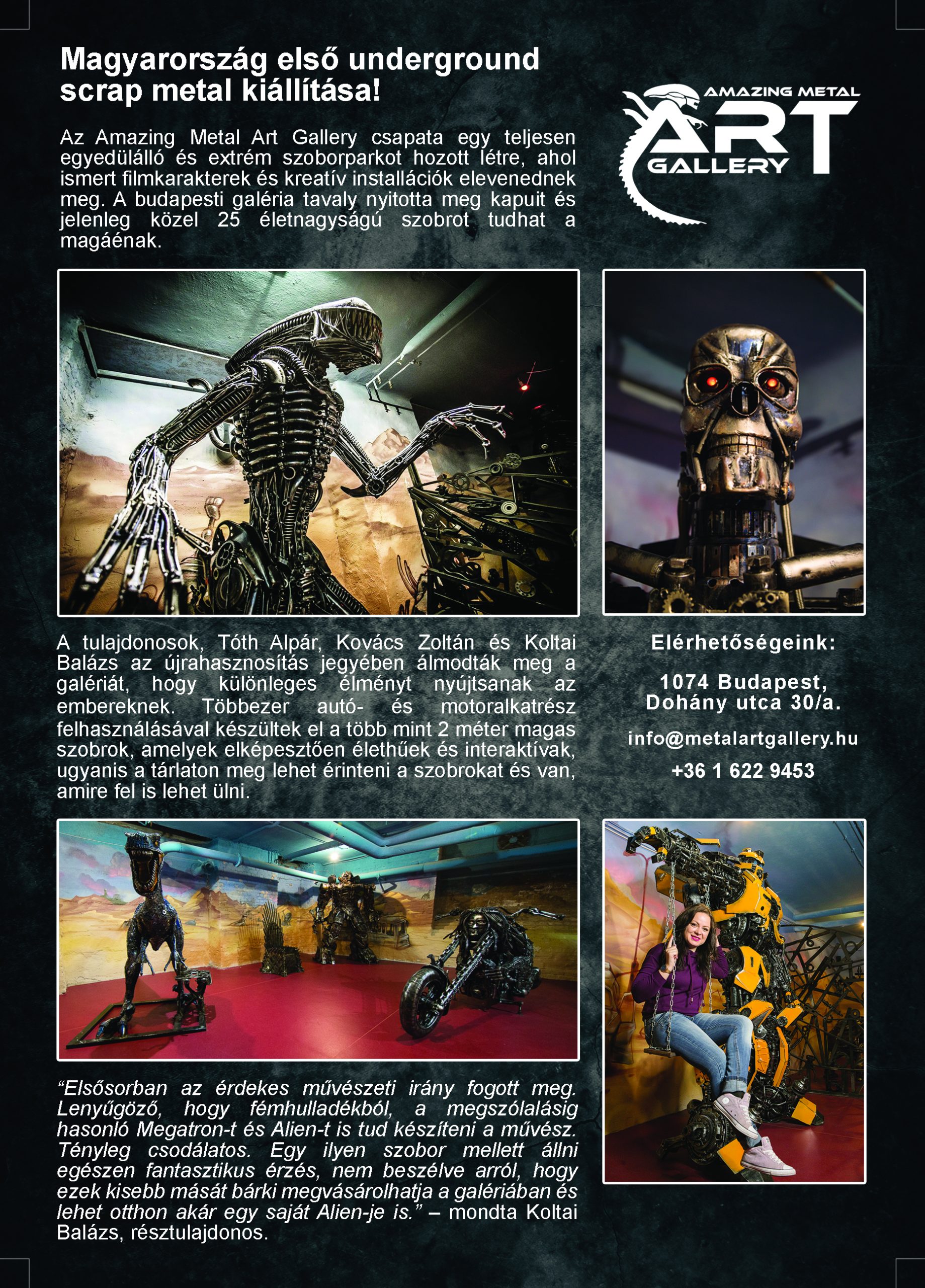 Amazing Metal Art Gallery referencia – 3. kép